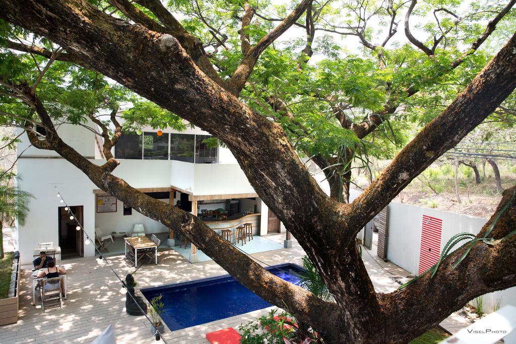 15 Love Bed & Breakfast Tamarindo Buitenkant foto